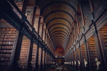 structural photography of library interior