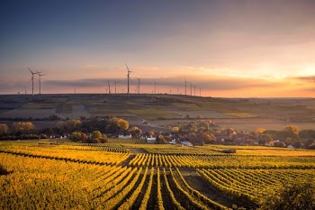 structural shot of wind mills during daytime