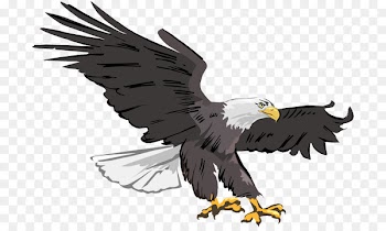 Student Eagle Coin Stamp & Jewelry Co. Business Carver Elementary School Clip art - Eagle Flying Cliparts 