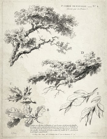 Studie van takken met bladeren (ca. 1732&ndash;1776) in high resolution by Gilles Demarteau.Original from The Rijksmuseum. Digitally enhanced by rawpixel.