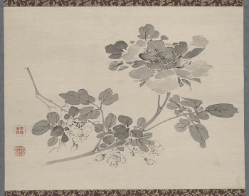Studies from Nature: Plants, Fish, | Free Photo - rawpixel