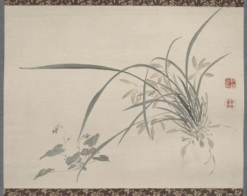 Studies from Nature: Plants, Fish, | Free Photo - rawpixel