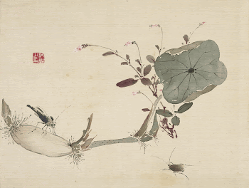 Studies from Nature: Plants, Fish, | Free Photo - rawpixel