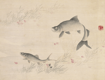 Studies from Nature: Plants, Fish, | Free Photo - rawpixel