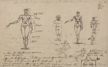 Studies of Anatomy, Measurements and | Free Photo - rawpixel