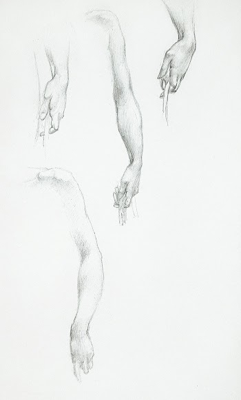 Studies of Arms and Hands (1833&ndash;1898)… | Free public domain illustration