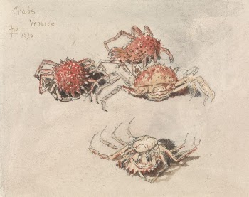 Studies of Spider Crabs, Venice | Free Photo - rawpixel