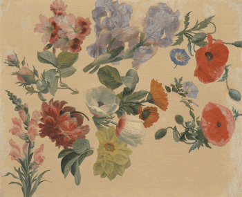 Studies of Summer Flowers (ca. | Free Photo - rawpixel
