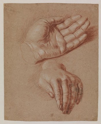 Studies of two hands. | Free Photo - rawpixel