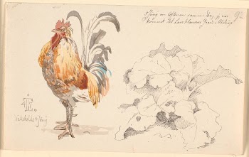 Study magazine with a cock | Free Photo - rawpixel