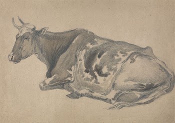 Study of a Cow | Free Photo - rawpixel