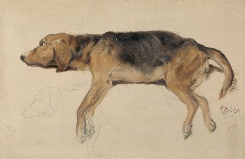 Study of a Dog Lying | Free Photo - rawpixel