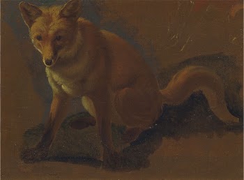 Study of a Fox | Free Photo - rawpixel