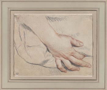 Study of a Hand | Free Photo - rawpixel