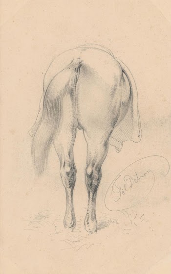 Study of a horse from back | Free Photo - rawpixel
