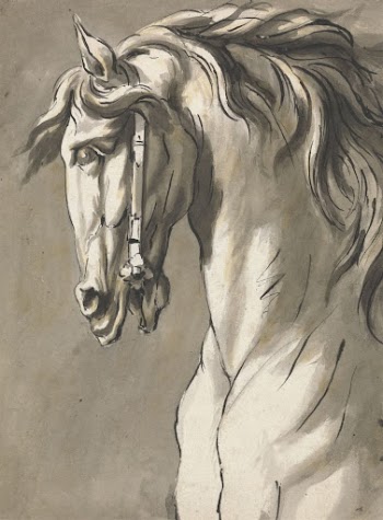 Study of a Horse's Head | Free Photo - rawpixel