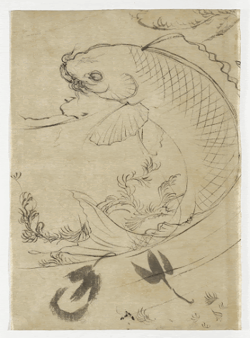 Study of a leaping carp | Free Photo - rawpixel