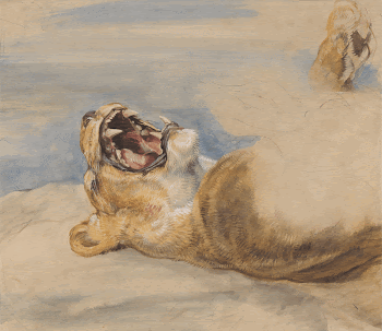 Study of a Lioness (ca. | Free Photo - rawpixel