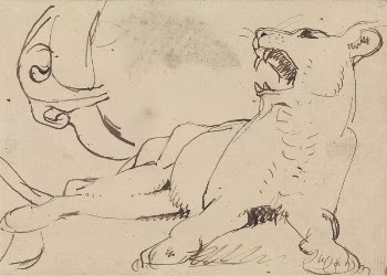 Study of a Lioness | Free Photo - rawpixel