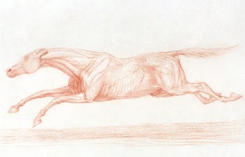 Study of a Racehorse in Action: Galloping to… | Free public domain illustration