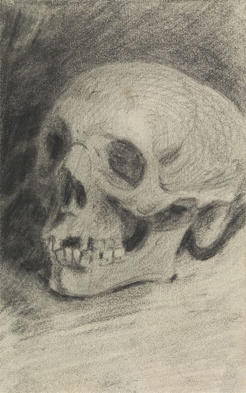 Study of a Skull | Free Photo - rawpixel