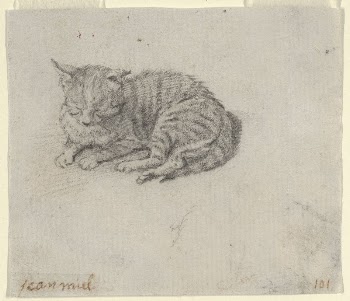 Study of a Sleeping Cat | Free Photo - rawpixel