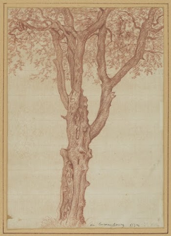 Study of a Tree in the Luxembourg | Free Photo - rawpixel