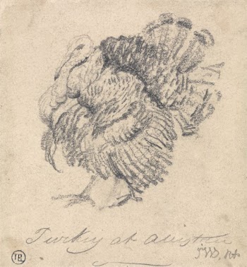 Study of a Turkey | Free Photo - rawpixel