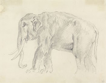 Study of an Elephant | Free Photo - rawpixel