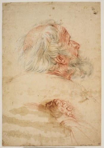 Study of an old man's | Free Photo - rawpixel