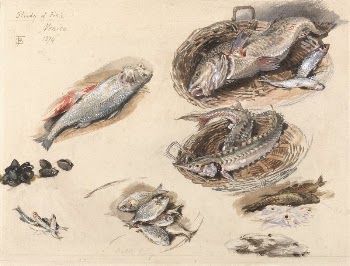 Study of Fish, Venice | Free Photo - rawpixel