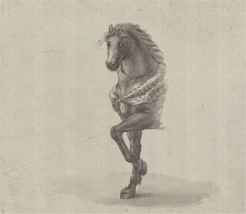 Study of the Front of a Horse | Free Photo - rawpixel