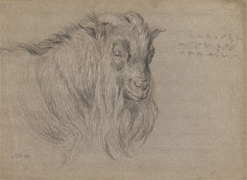 Study of the Head of a Ram | Free Photo - rawpixel
