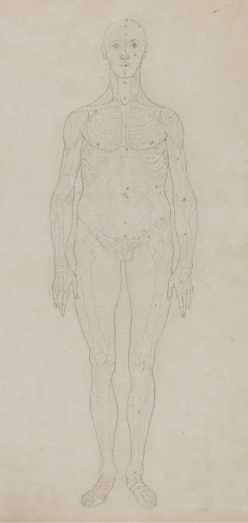 Study of the Human Figure, | Free Photo - rawpixel