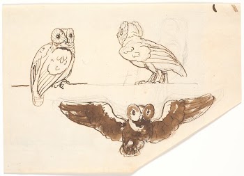 Study of three owls | Free Photo - rawpixel