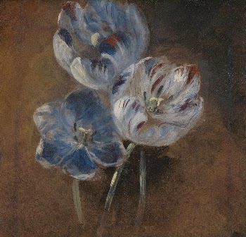 Study of Three Parrot Tulips | Free Photo - rawpixel