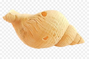 Stuffed Animals Cuddly Toys, Wool, Animal, Beige, Thread PNG
