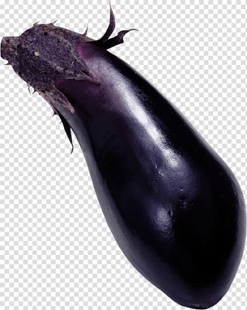 Stuffed eggplant Vegetarian cuisine Vegetable, Eggplant transparent background PNG clipart