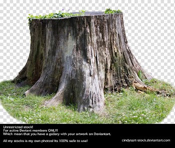 Stump , black and green abstract painting transparent background PNG clipart