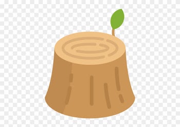 Stump Removal - Tree Stump