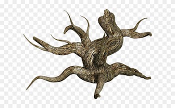 Stump, Tree, Wood, Nature, Plant, Timber, Old, Trunk - Dessert Grass Plants Png