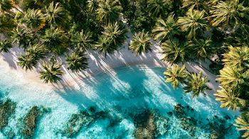 Stunning Aerial View of Tropical Lagoon