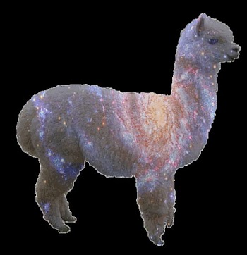 Style, purple and yellow animal transparent background PNG clipart