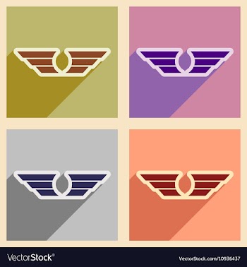 Stylish assembly wings eagles vector image