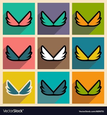 Stylish assembly wings eagles vector image