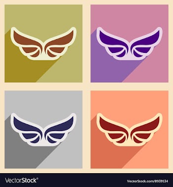 Stylish assembly wings eagles vector image