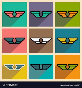 Stylish assembly wings eagles vector image