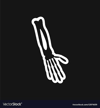 Stylish black and white icon arm bone vector image