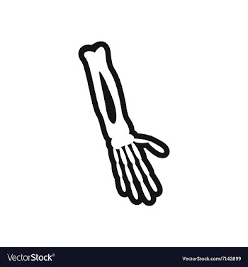 Stylish black and white icon arm bone vector image