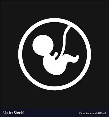 Stylish black and white icon child in the womb vector image